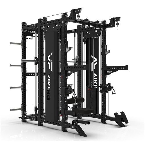 Viking Black Beast All In One Trainer